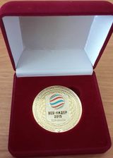 Золотая медаль конкурса "Веб-лидер -2015"